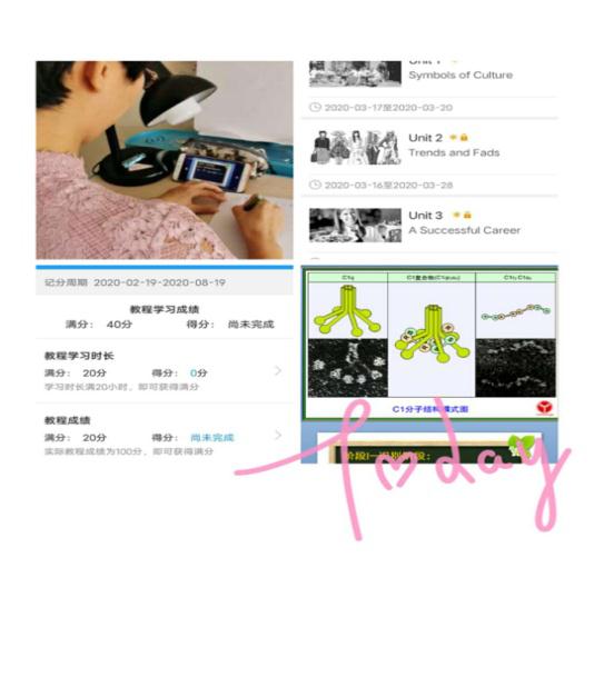 以观摩促教学_共享云端智慧——伊春职业学院第一次线上教学观摩课 以观摩促教学_共享云端智慧——伊春职业学院第一次线上教学观摩课