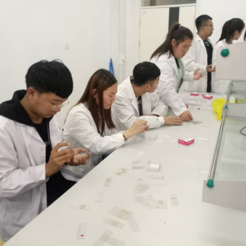 医学检验专业实训课剪影