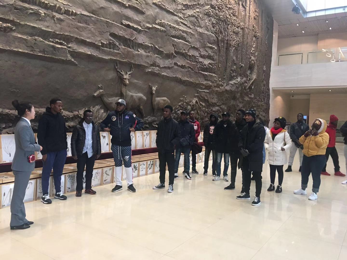 开启文化之旅,领略林城之美——记我校留学生参观伊春森林博物馆 开启文化之旅,领略林城之美——记我校留学生参观伊春森林博物馆